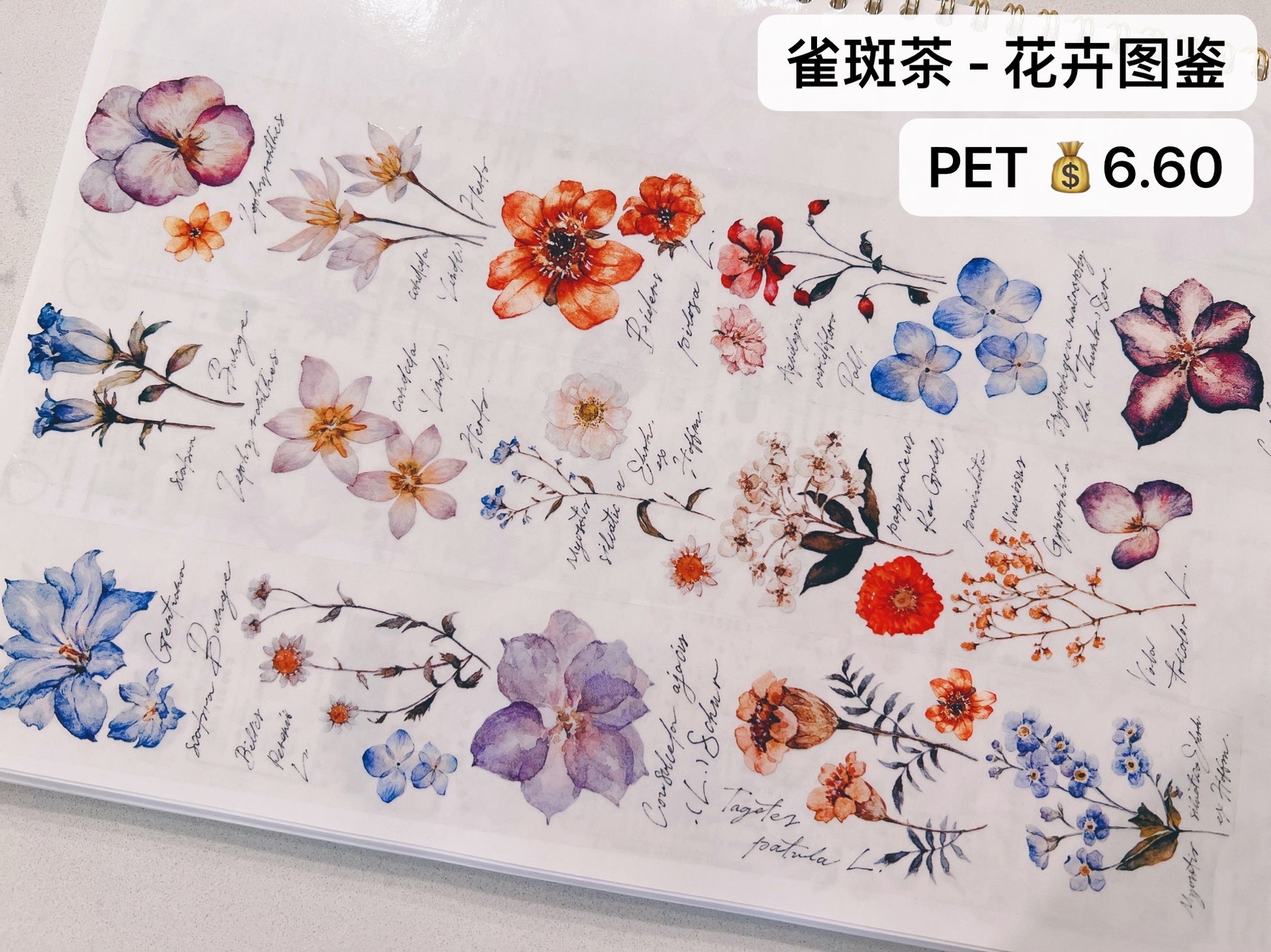 雀斑茶 花卉图鉴 PET - テープ・マスキングテープ